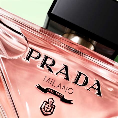 profumo prada paradoxe donna|prada paradoxe echo.